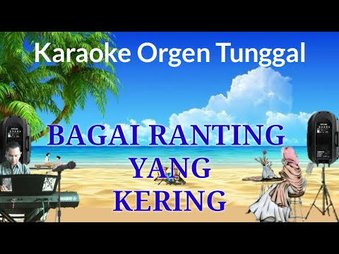 BAGAI RANTING YANG KERING / VERSI KARAOKE ORGEN TUNGGAL /IIS DAHLIA