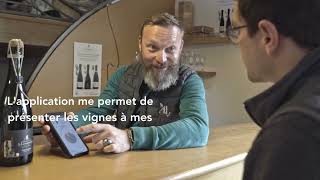Vos Opérations À La Vigne Et Au Chai À Portée De Main Avec Process2Wine