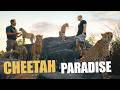 The Cheetah Blueprint! - Dean Schneider Mp3 Song