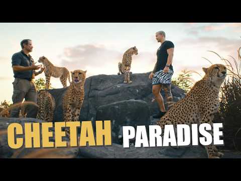 The Cheetah Blueprint! - Dean Schneider