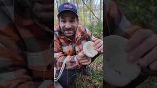 We went mushroom hunting for the first time! It's late in the year, but we found some!