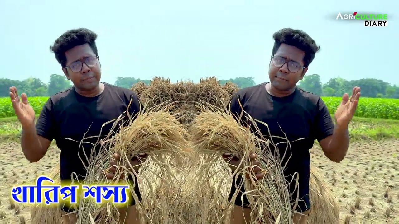 🌾 Pan Seeds Influencer Campaign | Pan Jamuna 804 | Agriculture Dairy Channel 🌾