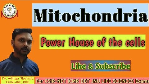 Mitochondria | Power House of the Cells By Dr. Aditya Sharma CSIR-JRF PHD For CSIR-NET ICMR DBT JNU