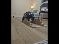 FCX10 LC80 PRO V2 DIY MINI COURSE!