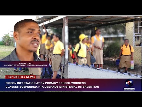 PIGEON INFESTATION AT BV PRIMARY SCHOOL WORSENS. CLASSES SUSPENDED -……….