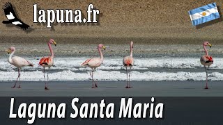 Laguna Santa Maria, Salta, Argentina