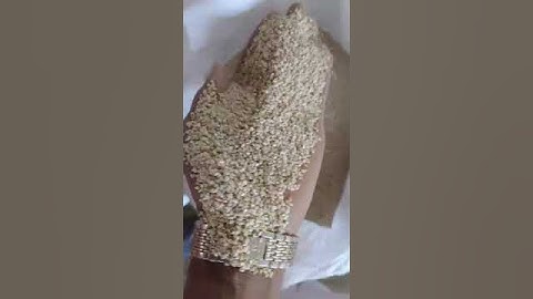 machine cleaned Sesame seed for export purposes, 2024 crop.