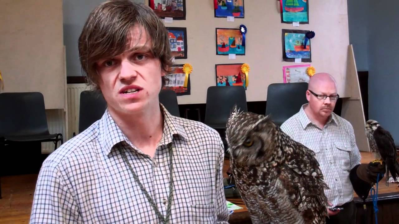 African Spotted Eagle Owl St Monans East Neuk Of Fife Scotland