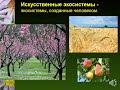 Виды экосистем, естествознание 5 класс