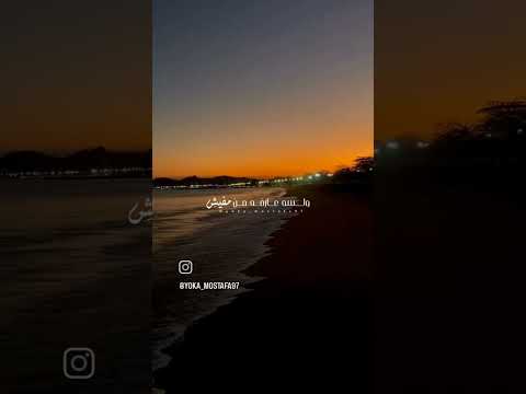 تامر عاشور   حد بيحب حد اوي كده تامر عاشور