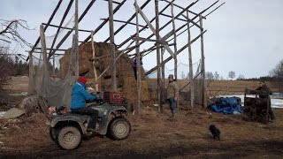 Healthy Horse Hay Barn Alaska The Last Frontier