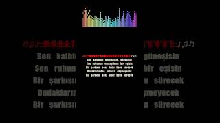 Samanyolu Karaoke (Cover) Mi Karar