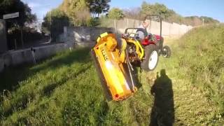 YANMAR tractor BERTI mulcher field test 360p
