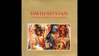 David Sylvian - Words With The Shaman • Part 2 • Incantation