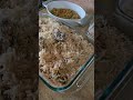Lahore Moments Noorjahaniaofficial Travel Nature Lifestyle Foodie Lahore Moments Noorjahaniaofficial Travel Nature Lifestyle Foodie