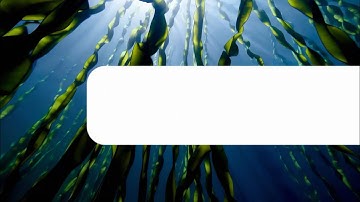 LeapSpace, built on peer-reviewed research