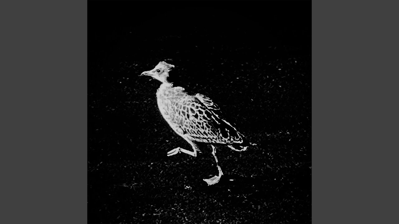 YouTubeでAli Ne Olduを視聴 YouTubeでAli Ne Olduを視聴