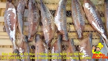 Cá Nục Một Nắng | Bán Buôn Bán lẻ cá nục một nắng