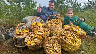 ПОМОГИТЕ! Грибники НЕ ОЖИДАЛИ собрать СТОЛЬКО ГРИБОВ! Маслята В МАЕ на КАЖДОМ ШАГУ! Грибы 2024