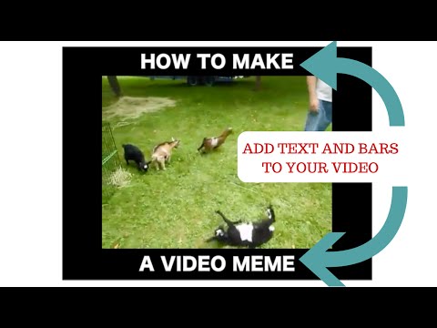 how-to-make-a-video-meme---video-meme-generator-in-any-video-editor