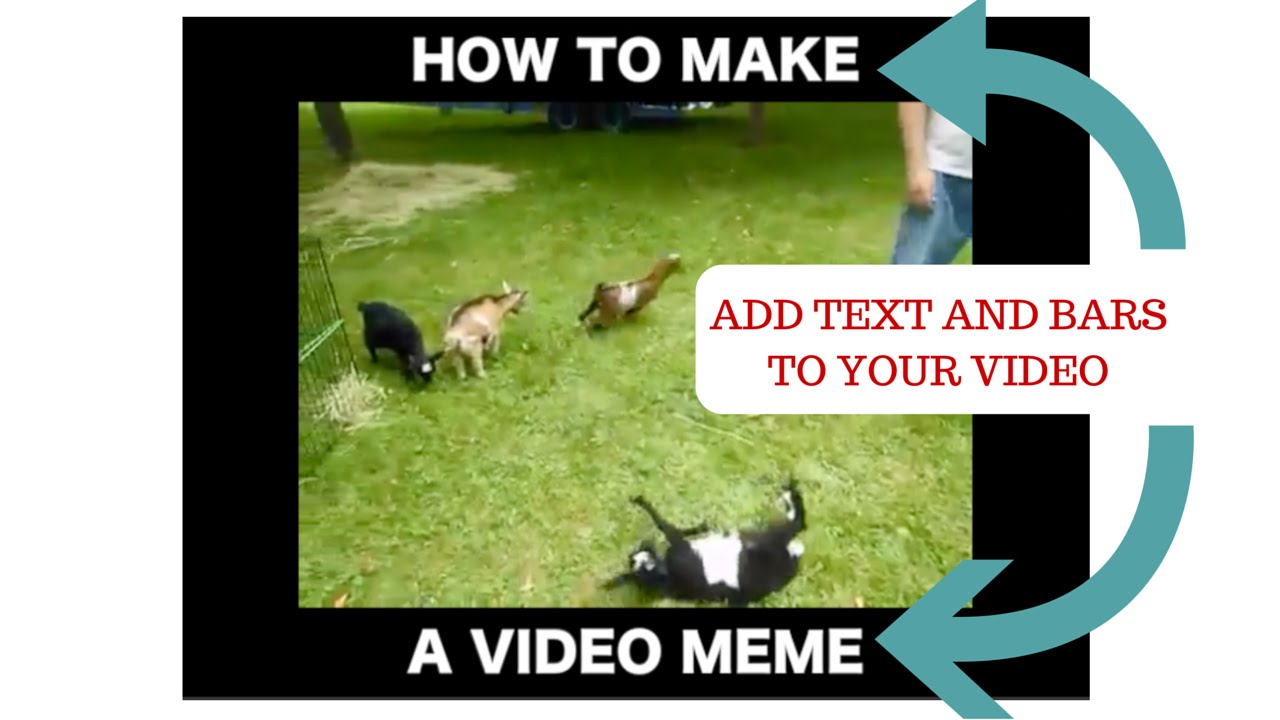 How To Make A Video Meme Video Meme Generator In Any Video Editor