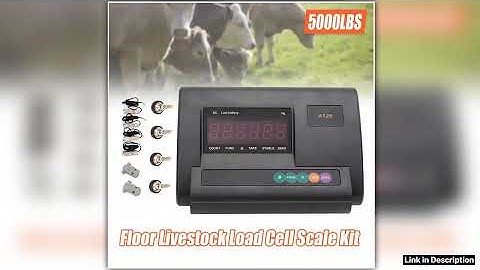 25T Livestock Scale Kit 5000LBS High Precision Indicator Floor Scale Waterproof Smart Upgrade