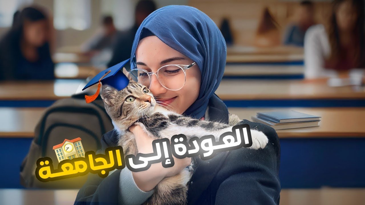 فلوق العودة إلى الجامعة ، يومياتي في إسطنبول بين المذاكرة و استعادة النشاط، زرت أحب مكان لي في تركيا