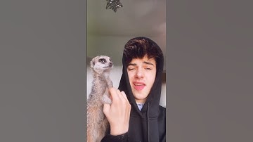 Kyle Thomas 💙 he was looking for my braces 😂 #kylethomas #shorts