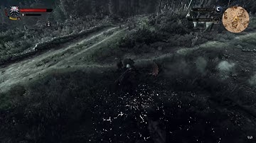 HOT WHITE HAIRED DUDE BANGS NECROPHAGES LIVE ON TV (Witcher 3 Enhanced Edition)