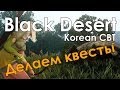 Black Desert Online - Korean CBT (Делаем квесты)