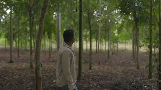San Martín] Programa Forestal: Recuperación de Ecosistemas ...