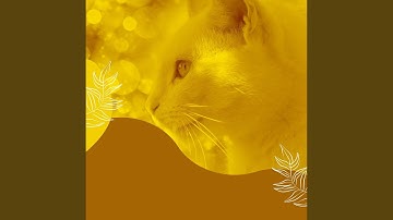 Classic Lazy Cat Days