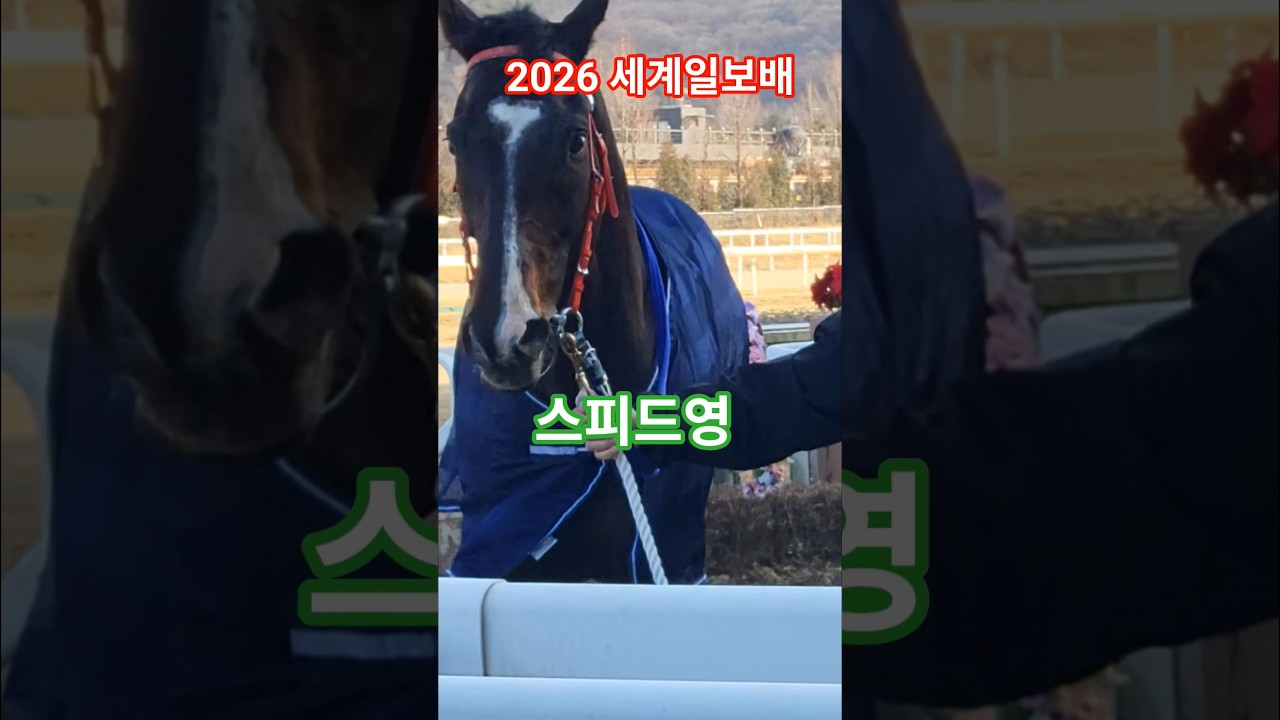 스피드영 살아있네~#경마#말 #대상경주#달려라말 #shorts #horse