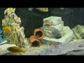 Update in fish room for September