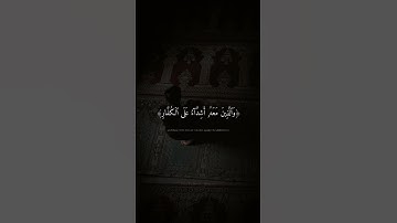 محمد رسول الله والذين معه اشداء ياسر الدوسري سورة الفتح