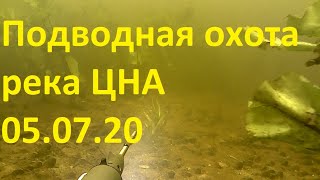 Подводная охота на реке Цна. 05.07.20г.