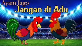 ayam jago jangan di adu | lagu anak anak | ayam jago lagu anak | adu ayam | miaomi channel