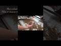 Revolutionizing Insect-Based Food Production with the Mealworm Microwave Dryer. +86 13256674591