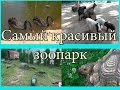 Самый красивый зоопарк / Экопарк Фельдмана