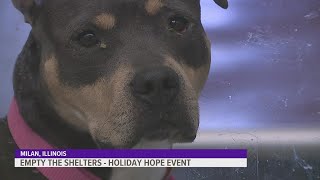 Quad City Animal Welfare Center participating in annual Empty the Shelters campaign Dec 1-10