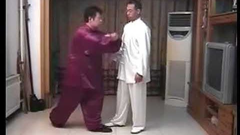 Master Chen Yu on XinJia YiLu (New Form Form One) Application (2)