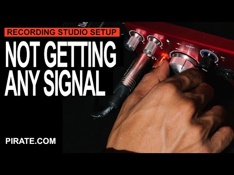 What to Do if You’re Not Getting a Signal to Your Focusrite Interface - Recording Studio Setup