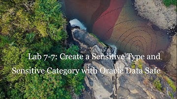 Lab 7-7 Create a Sensitive Type and Sensitive Category with ODS