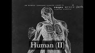 To Be Human — Marina & The Diamonds Piano Instrumental Cover