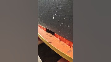 Warre hive into season #4 on a Maple flow...