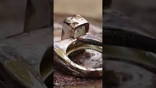 From vintage Ring to New Design - Estona Metalsmithing Work Alongs @Estona.Jewelry.Tutorials