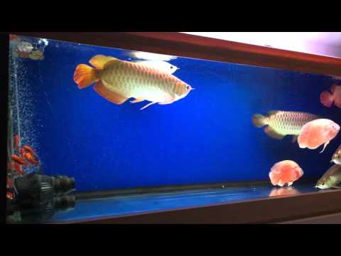 2016 04 06 00 16 20
