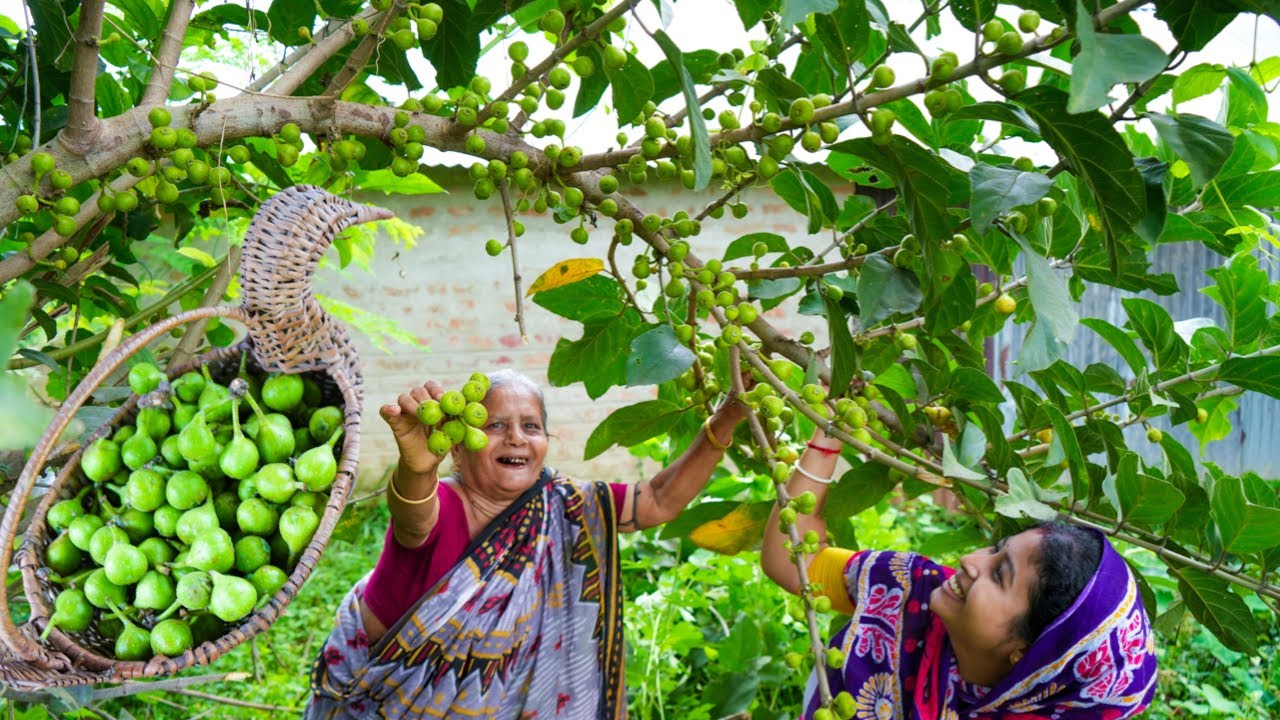 দেখুন ডুমুর কাটার সঠিক পদ্ধতি সহ নিরামিষ ডুমুর রান্না |