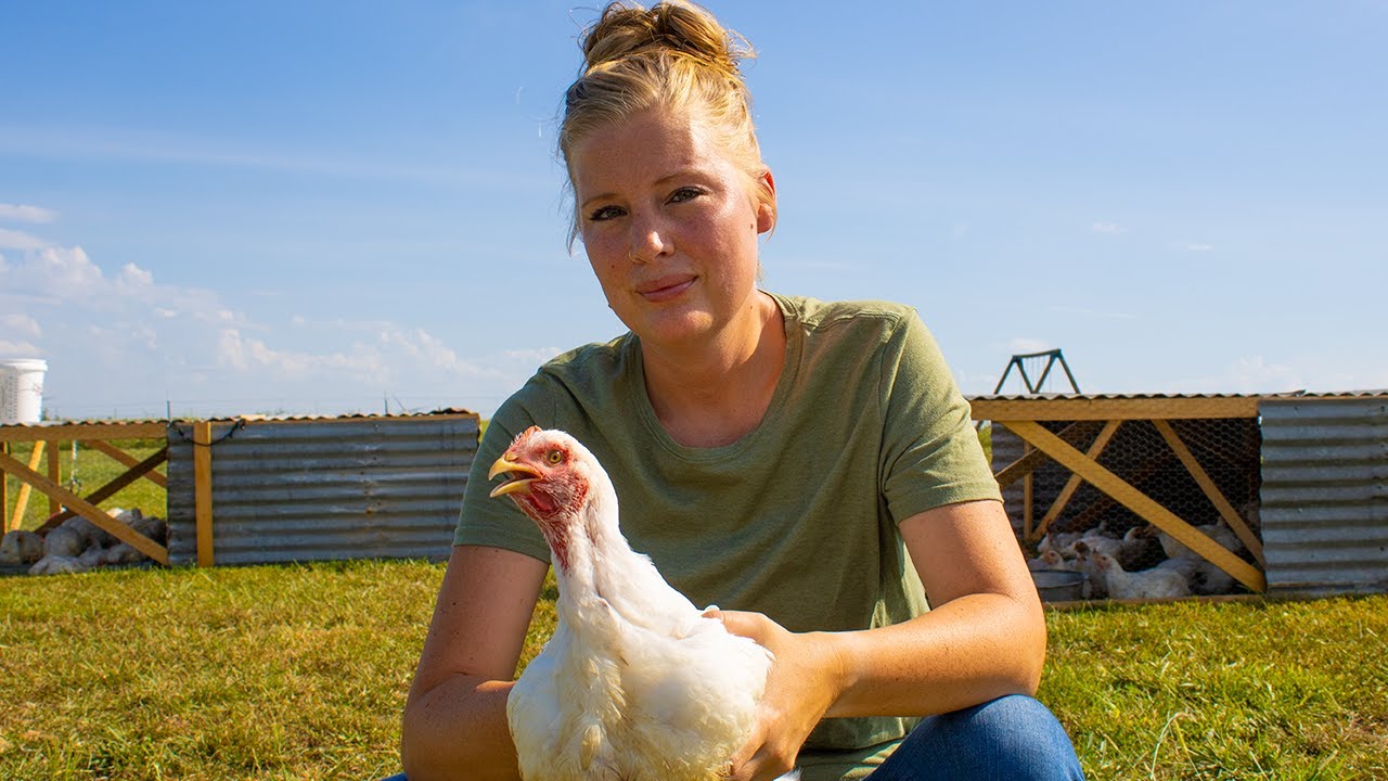 How to Raise 500lbs of Chickens in Your Back Yard Cooking Home Grown