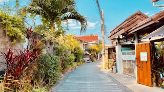 【4K】Chiang Mai Neighborhood Walking Tour at Daytime / Thailand  4K 60fps #5